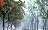 Người Hà Nội mặc thêm áo mưa ra đường vì lạnh